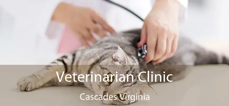 Veterinarian Clinic Cascades Virginia