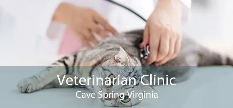 Veterinarian Clinic Cave Spring Virginia