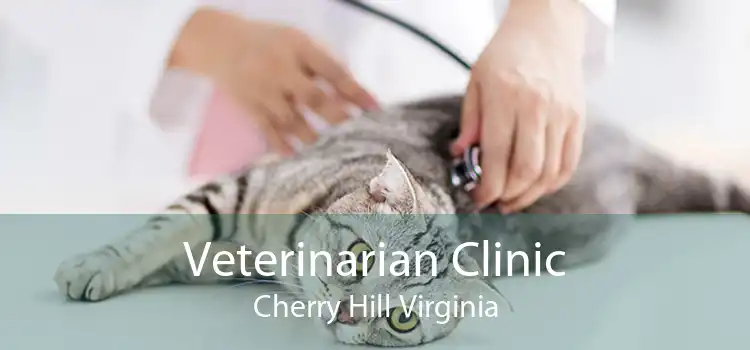 Veterinarian Clinic Cherry Hill Virginia
