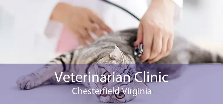 Veterinarian Clinic Chesterfield Virginia