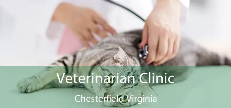 Veterinarian Clinic Chesterfield Virginia