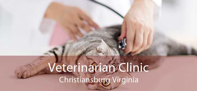 Veterinarian Clinic Christiansburg Virginia