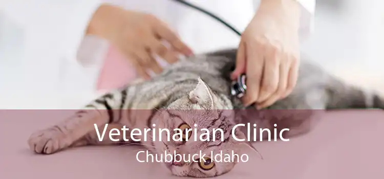Veterinarian Clinic Chubbuck Idaho