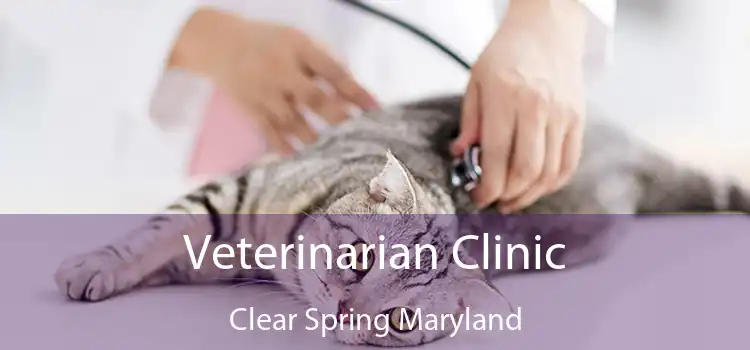 Veterinarian Clinic Clear Spring Maryland