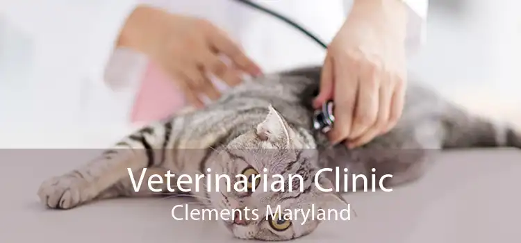 Veterinarian Clinic Clements Maryland