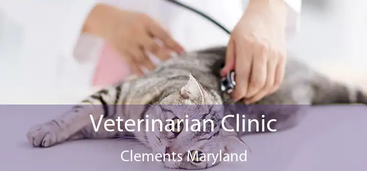 Veterinarian Clinic Clements Maryland