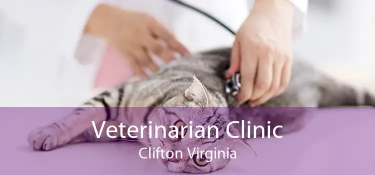 Veterinarian Clinic Clifton Virginia