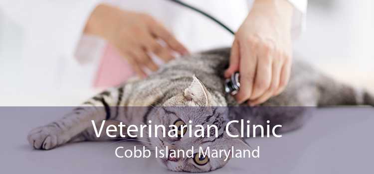 Veterinarian Clinic Cobb Island Maryland