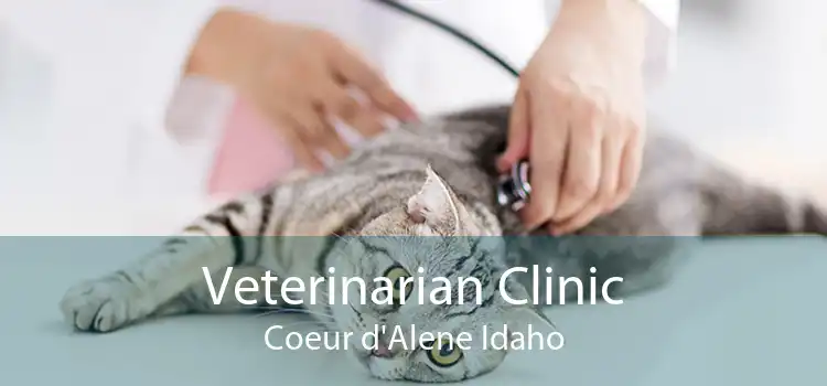 Veterinarian Clinic Coeur d'Alene Idaho