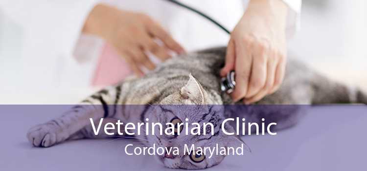 Veterinarian Clinic Cordova Maryland