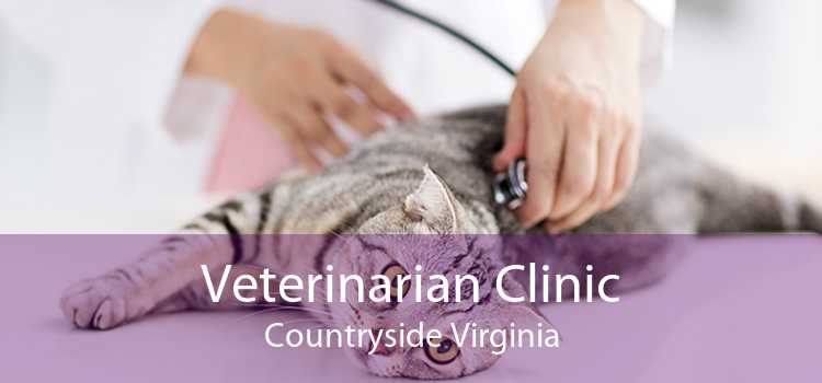 Veterinarian Clinic Countryside Virginia