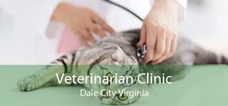 Veterinarian Clinic Dale City Virginia