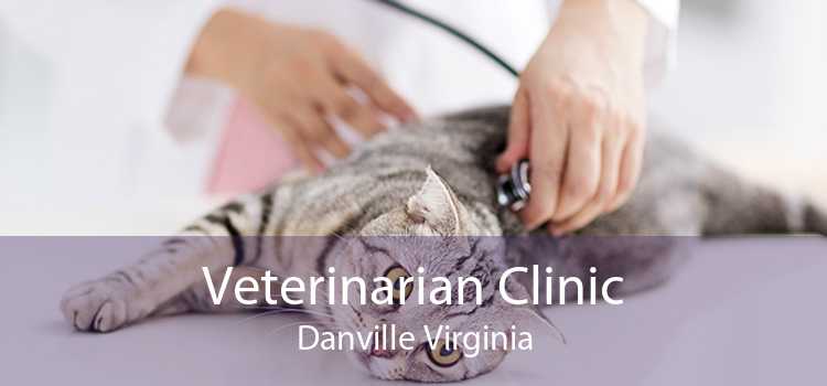 Veterinarian Clinic Danville Virginia