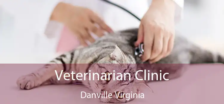 Veterinarian Clinic Danville Virginia
