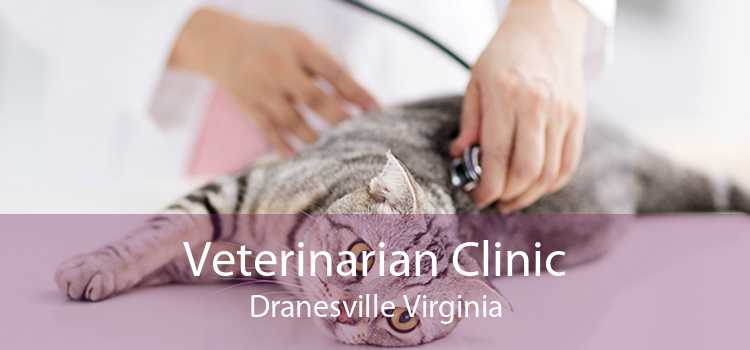 Veterinarian Clinic Dranesville Virginia