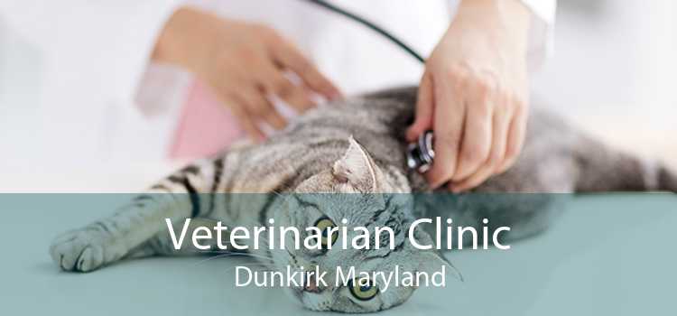 Veterinarian Clinic Dunkirk Maryland