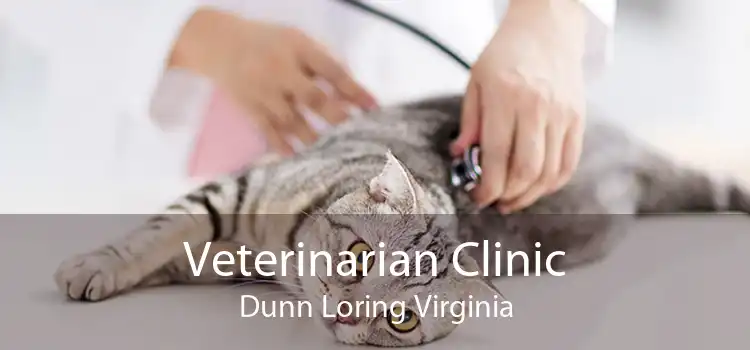 Veterinarian Clinic Dunn Loring Virginia