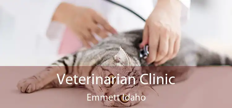 Veterinarian Clinic Emmett Idaho