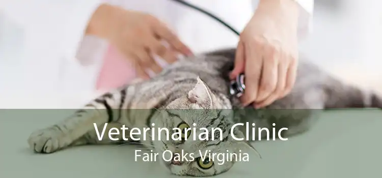 Veterinarian Clinic Fair Oaks Virginia