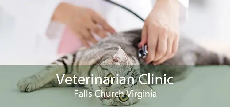 Veterinarian Clinic Falls Church Virginia