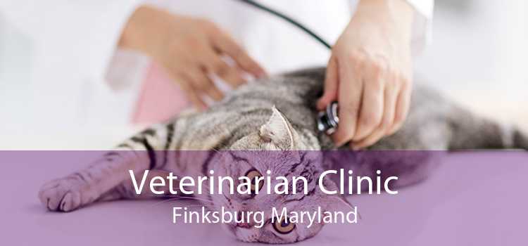 Veterinarian Clinic Finksburg Maryland