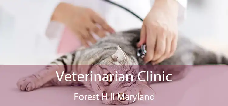 Veterinarian Clinic Forest Hill Maryland