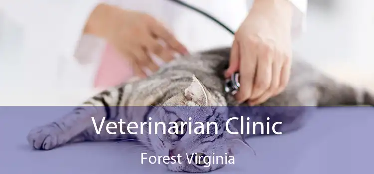 Veterinarian Clinic Forest Virginia
