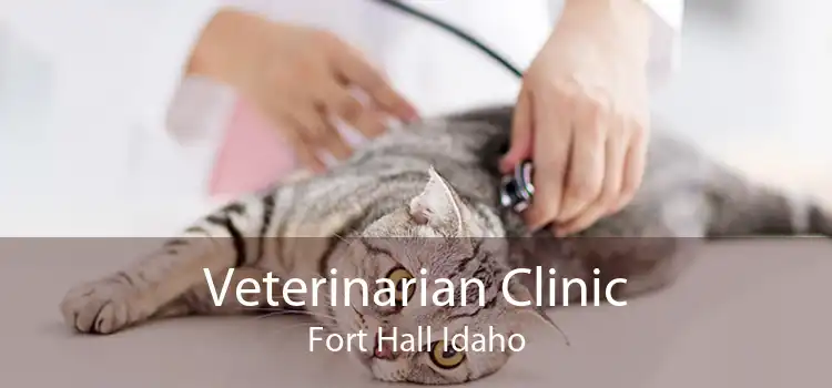 Veterinarian Clinic Fort Hall Idaho