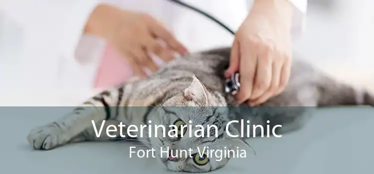 Veterinarian Clinic Fort Hunt Virginia