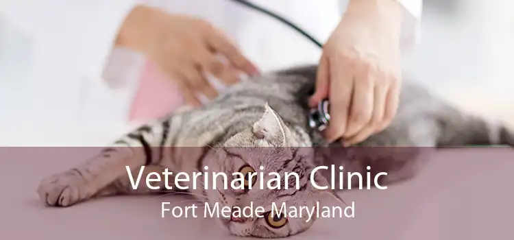 Veterinarian Clinic Fort Meade Maryland
