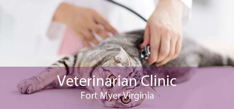 Veterinarian Clinic Fort Myer Virginia