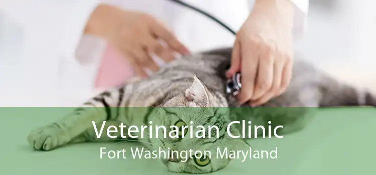 Veterinarian Clinic Fort Washington Maryland