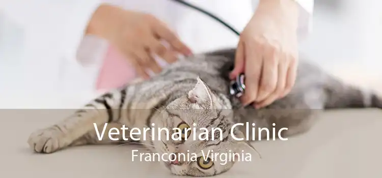 Veterinarian Clinic Franconia Virginia