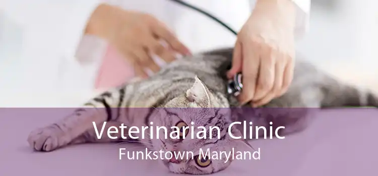 Veterinarian Clinic Funkstown Maryland