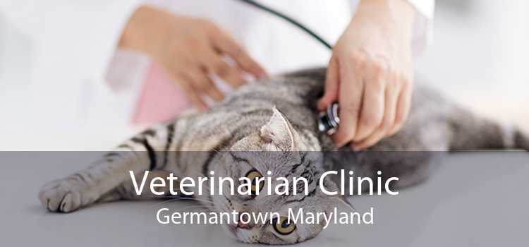 Veterinarian Clinic Germantown Maryland