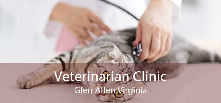 Veterinarian Clinic Glen Allen Virginia