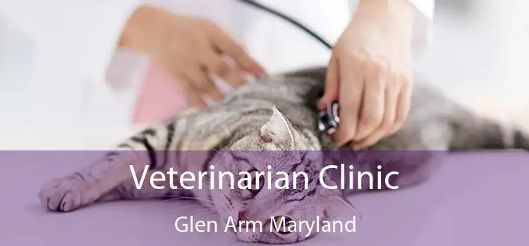 Veterinarian Clinic Glen Arm Maryland