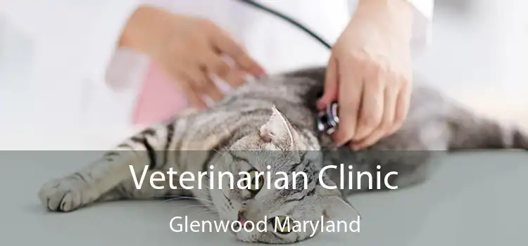 Veterinarian Clinic Glenwood Maryland