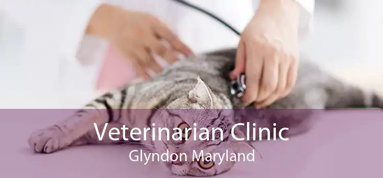 Veterinarian Clinic Glyndon Maryland