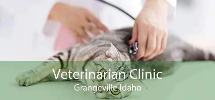 Veterinarian Clinic Grangeville Idaho