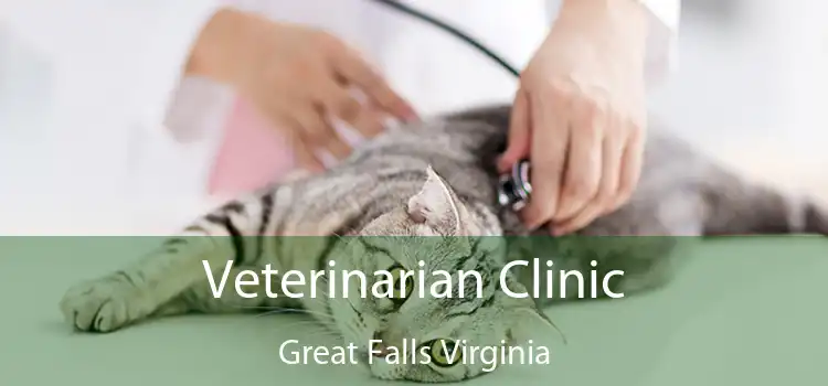 Veterinarian Clinic Great Falls Virginia