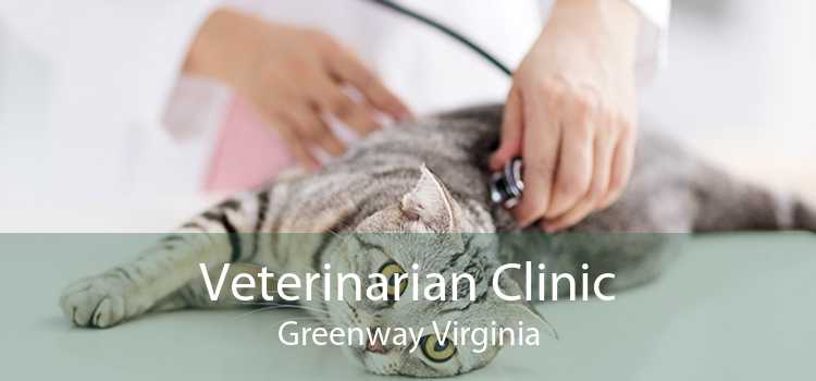 Veterinarian Clinic Greenway Virginia