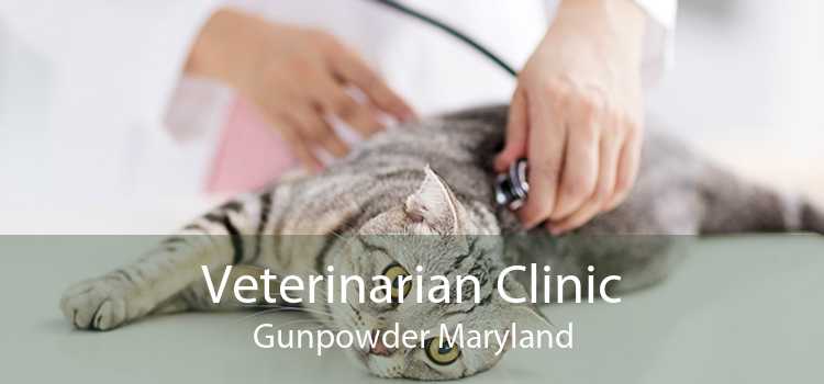 Veterinarian Clinic Gunpowder Maryland