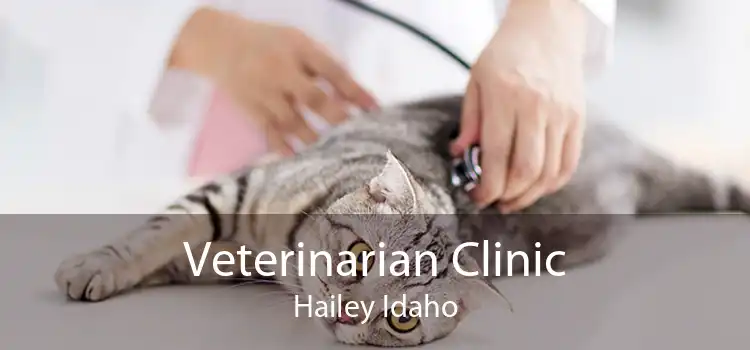 Veterinarian Clinic Hailey Idaho