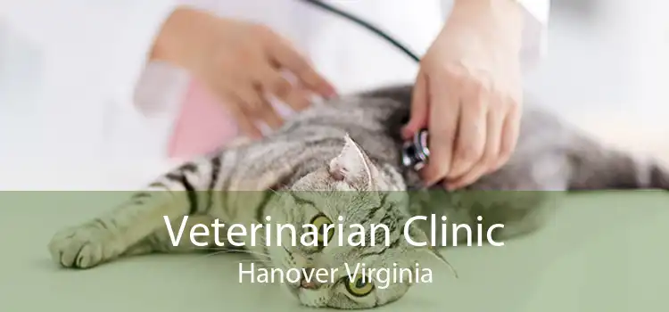 Veterinarian Clinic Hanover Virginia
