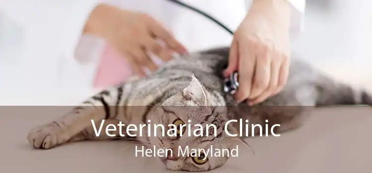 Veterinarian Clinic Helen Maryland