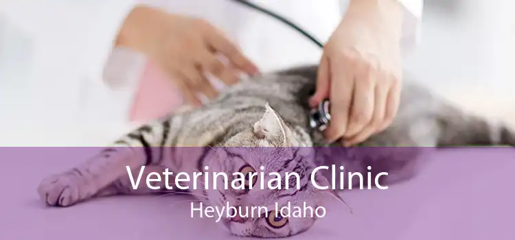 Veterinarian Clinic Heyburn Idaho