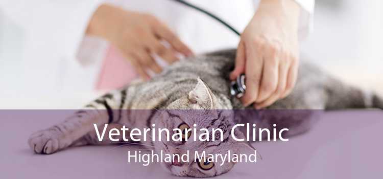 Veterinarian Clinic Highland Maryland