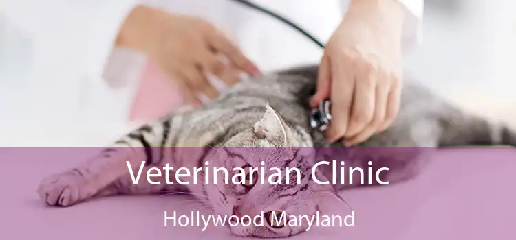 Veterinarian Clinic Hollywood Maryland
