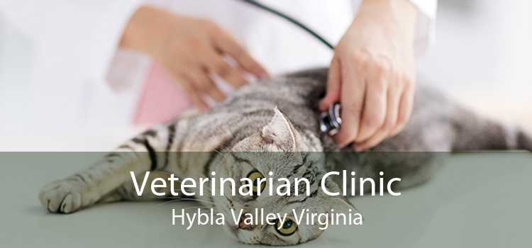 Veterinarian Clinic Hybla Valley Virginia